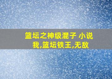 篮坛之神级混子 小说 我,篮坛铁王,无敌